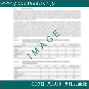グローバルリサーチ調査資料のイメージ